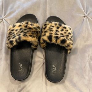 Cheetah slides